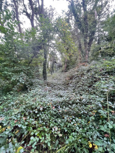 Photo de galerie - Avant 