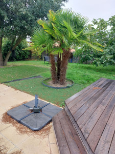 Photo de galerie - Entretien de jardin 