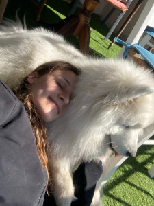 Photo de galerie - Garde chien samoyède 