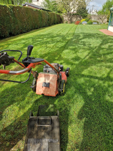 Photo de galerie - Tonte d'un gazon
