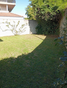 Photo de galerie - Tonte + élagage d'une glycine