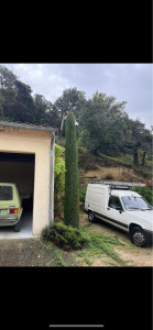 Photo de galerie - Taille de haies et d'arbustes