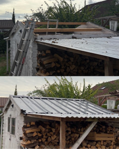 Photo de galerie - Changement Toiture, abri de jardin