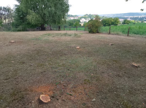 Photo de galerie - Fin de chantier abattage ( 7 arbres)