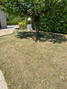 Photo de galerie - Tonte de pelouse - Débroussaillage