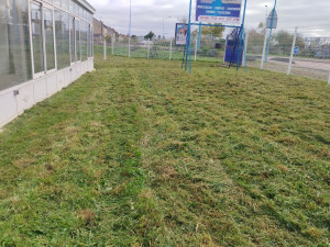 Photo de galerie - Débroussaillage 