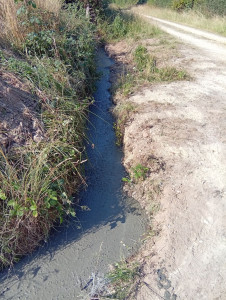 Photo de galerie - Création fouilles 