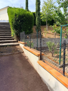 Photo de galerie - Arbre coupé 