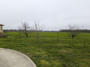Photo de galerie - Tonte de grands espaces grâce a une tondeuse autoportée professionnelle 