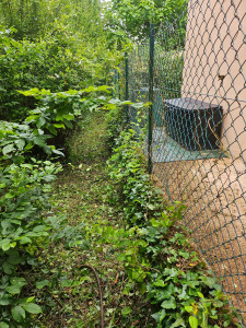 Photo de galerie - Avant 