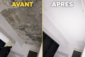 Photo de galerie - Traitement de moisissure SDB.
