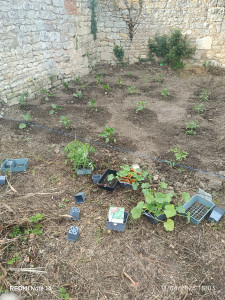 Photo de galerie - Jardinier