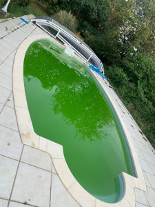 Photo de galerie - Entretien piscine