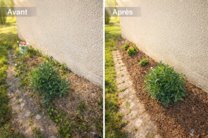 Photo de galerie - Avant / Après désherbage manuel  
Parterre remis en état, travail soigné et respectueux des plantes existantes.