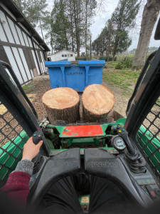 Photo de galerie - Chargement des troncs avec Bobcat