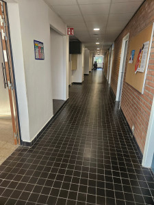 Photo de galerie - Nettoyage courant des bâtiments administratifs 