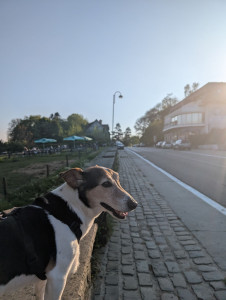 Photo de galerie - Balade