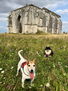 Photo de galerie - Passionnée par la nature, les animaux et les randonnées. Des sorties au 4 coins de la région.