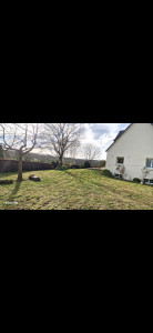 Photo de galerie - Tonte