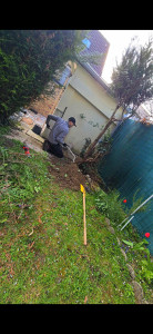 Photo de galerie - Elagage et coupe d'arbres