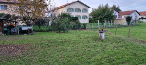 Photo de galerie - Tonte de pelouse - Débroussaillage