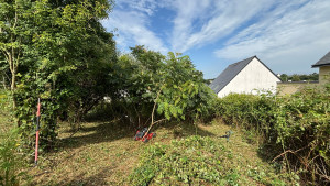 Photo de galerie - Défrichage d’un jardin 