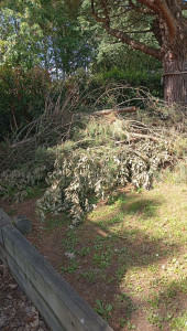 Photo de galerie - Évacuation déchets - Gravats