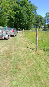 Photo de galerie - Tonte de pelouse - Débroussaillage