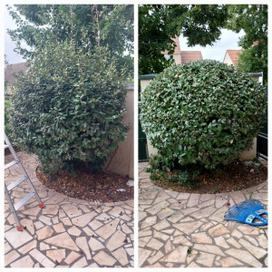 Photo de galerie - Jardinier en Île se france