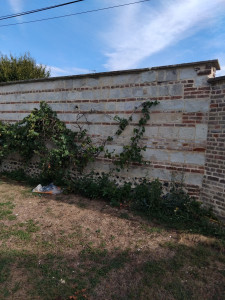 Photo de galerie - Restauration de mur 