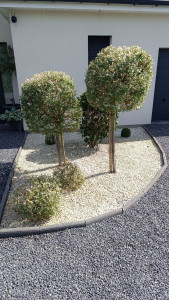 Photo de galerie - Paysagiste - Aménagement du jardin