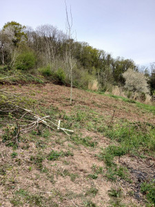 Photo de galerie - Entretien de terrain 