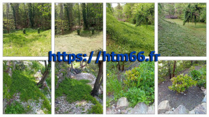 Photo de galerie - Entretien de jardins et d'espaces verts : débroussaillage, tonte de pelouse, désherbage, nettoyage des massifs et remise en état des terrains. Intervention soignée pour retrouver un jardin propre et agréable.