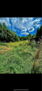 Photo de galerie - Remise en état d’un jardin avant 