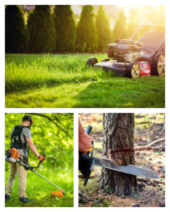 Photo de galerie - Tonte de pelouse, débroussaillage, finition, évacuation
