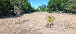 Photo de galerie - Créations de gazon 