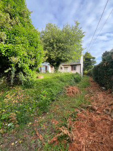 Photo de galerie - Avant débroussaillage 