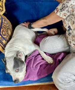 Photo de galerie - Garde animaux