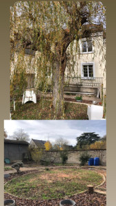 Photo de galerie - Abattage, Saul Avec évacuation des déchets