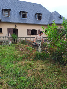 Photo de galerie - Taille d'Abelia Grandiflora