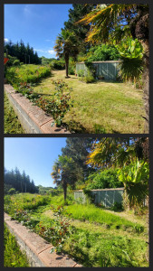 Photo de galerie - Tonte de pelouse - Débroussaillage