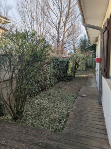 Photo de galerie - Nettoyage d'un jardin en friche