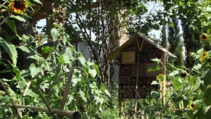 Photo de galerie - Création d'un potager en permaculture et de son hôtel à insectes