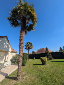 Photo de galerie - Après ?