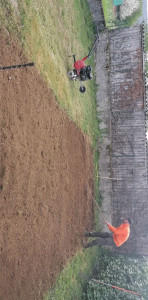 Photo de galerie - élagage, debrousaillage, taille des haies, bois de chauffage, maçonnerie, tout dans l'extérieur et l'intérieur 