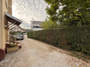 Photo de galerie - Taille de haies 