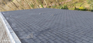 Photo de galerie - Âpre remaniement 