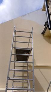 Photo de galerie - Peinture - Tapisserie