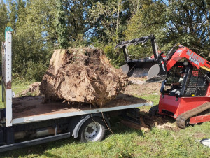 Photo de galerie - Enlèvement de souche 