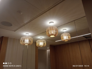 Photo de galerie - Luminaire plafonnier 
